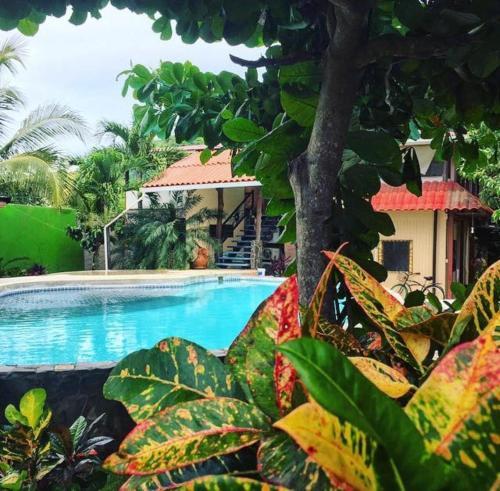 Hotel Flamingo Cabinas