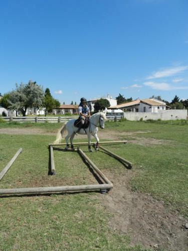 Hotel H�tel Mas De La Grenouill�re