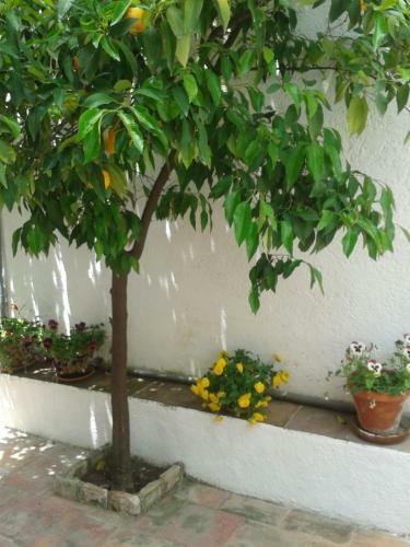 Hostal La Casita Del Corralon