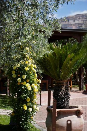 Agroturismo Il Roseto
