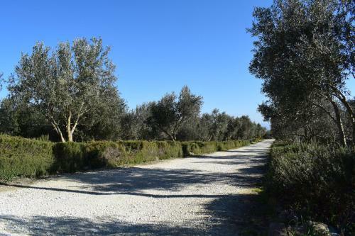 Agroturismo Agriturismo Baglio Pollicarini