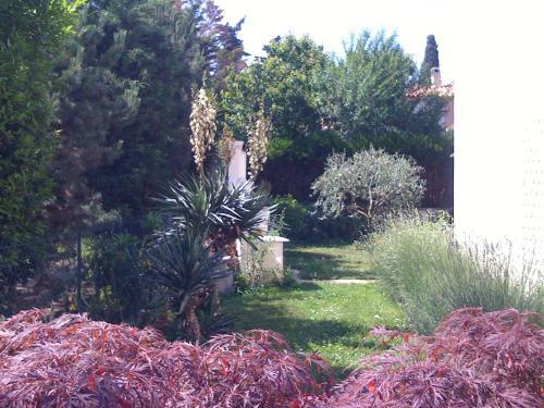 Villa Kamea