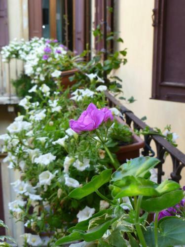 Albergue Protezione Della Giovane
