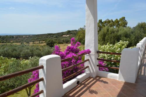 Casa Shezella