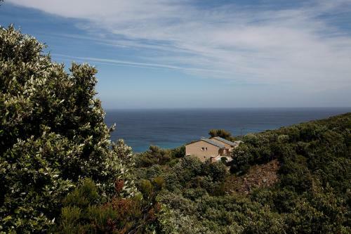 Bed & Breakfast Casa Di Babbo