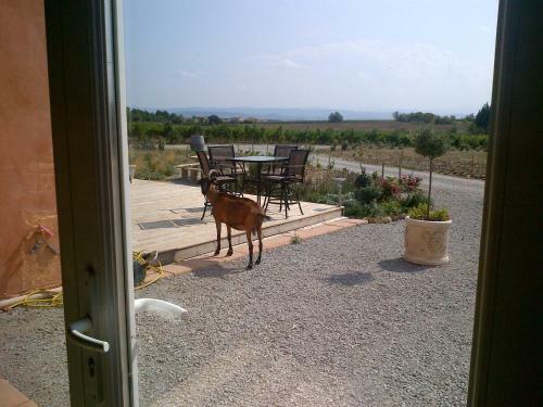 O'vineyards B&B Carcassonne