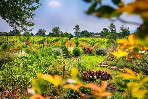 O'vineyards B&B Carcassonne