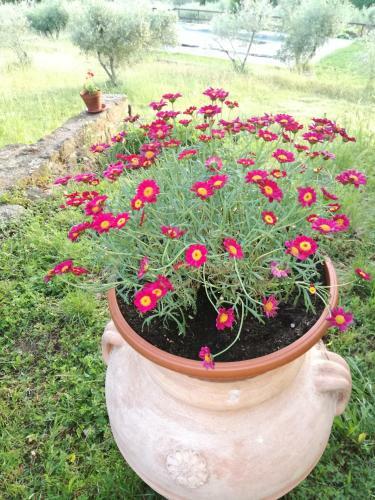 Agroturismo Podere Le Muricce