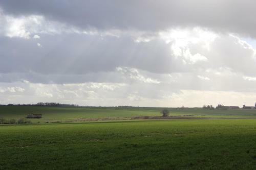 G�te � L'ombre Des Ch�nes