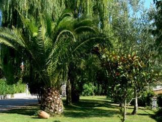 Apartamento Villamirella