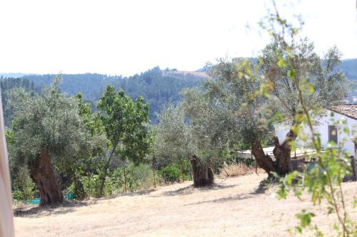 Agroturismo Casas Rurales Los Montes