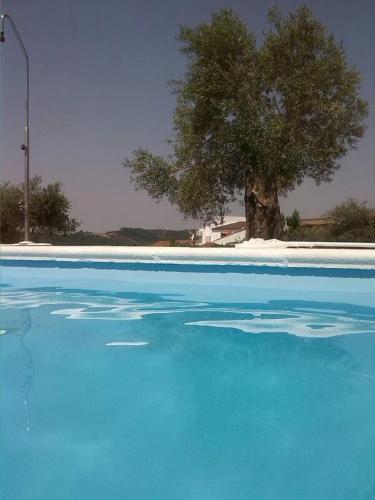 Agroturismo Casas Rurales Los Montes