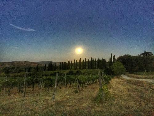 Agroturismo Tenuta Lupinari