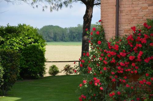 Agroturismo Country House Le Case Coloniche