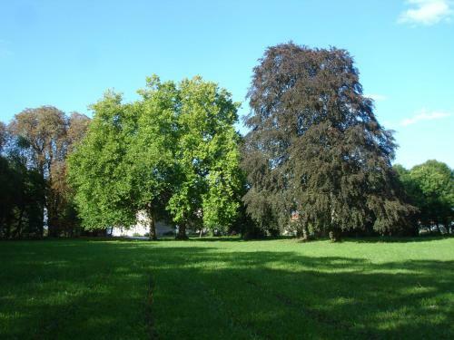 Hostal Maison D'h�tes Le Ch�teau De Puxe