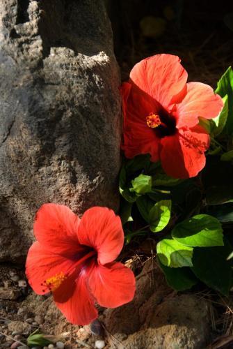Agroturismo El Jard�n De Los Sue�os