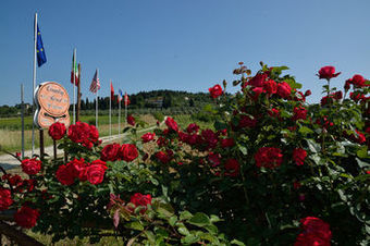 Agroturismo Country Resort Il Frassine
