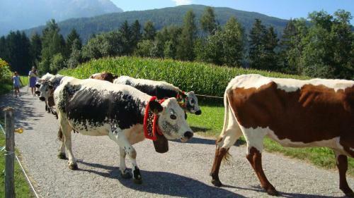 Agroturismo Oberh�lzlhof