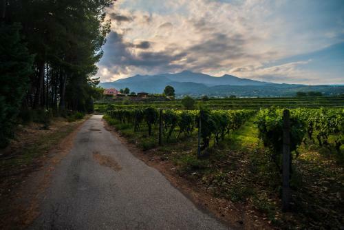 Agroturismo Tenuta San Michele