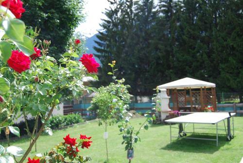 Apartamento Residence Chalet Gardenia