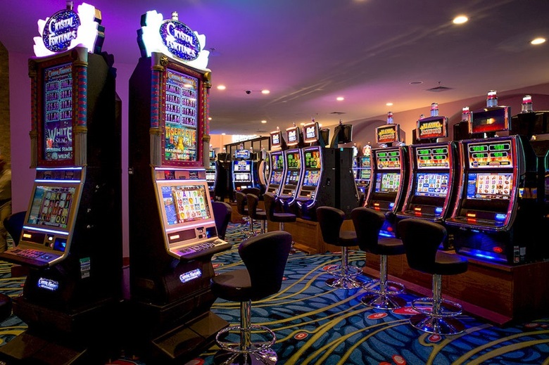 Hotel Croc's Casino Resort