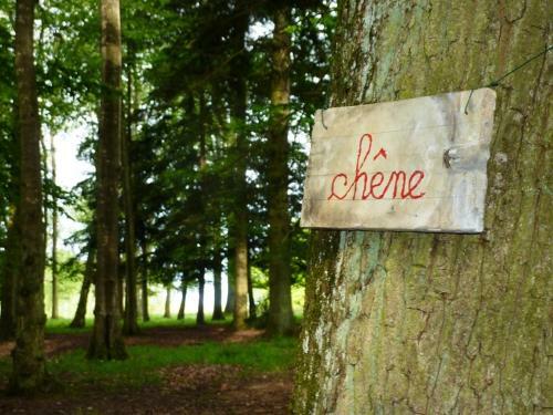 Bed & Breakfast Chambres D'h�tes La Corne Aux Vaches