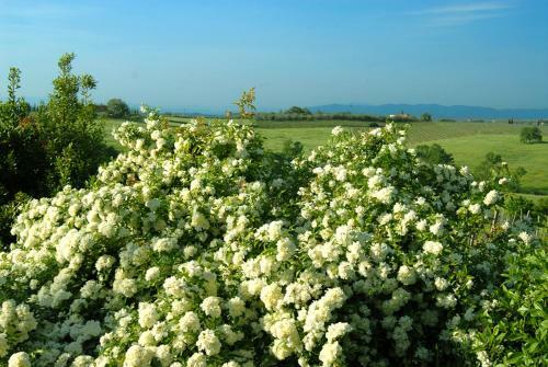 Agroturismo Tenuta Santagnese