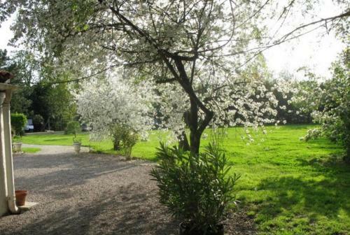 Bed & Breakfast Chambres D'h�tes Barbecane