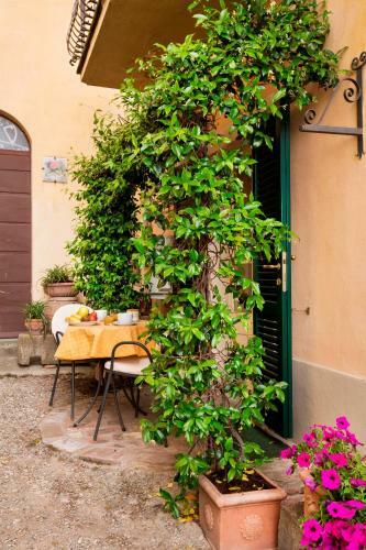 Apartamento Appartamenti Belvedere