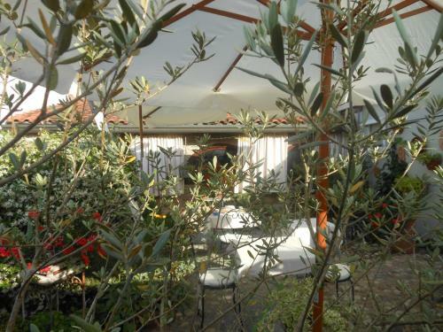 B&B Gli Angeli