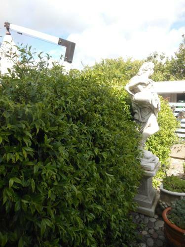 B&B Gli Angeli