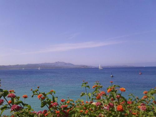 Apartamento House On The Sea