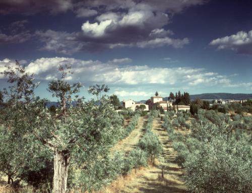 Agroturismo Il Borghetto Country Inn