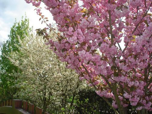 Bed & Breakfast Chambres D'h�tes Au Temps Des Cerises