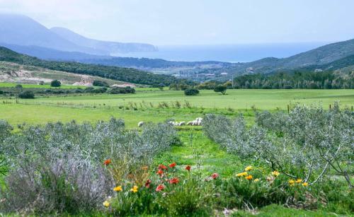 Agroturismo Agriturismo Il Ginepro