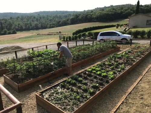 Agroturismo Borgo Iesolana