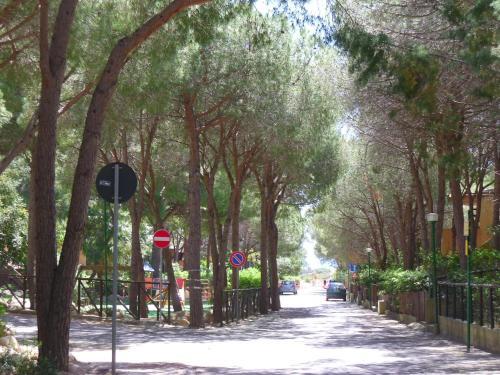 Apartamento Pinus Village Appartamento