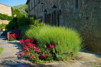 Hotel Relais Borgo San Pietro