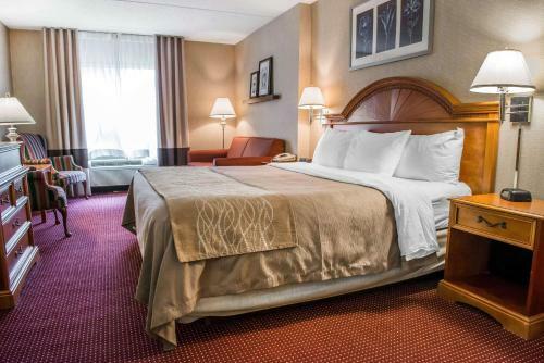 Hotel Comfort Inn Meadowlands
