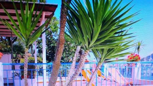 Apartamento L'incanto Di Cala Feola