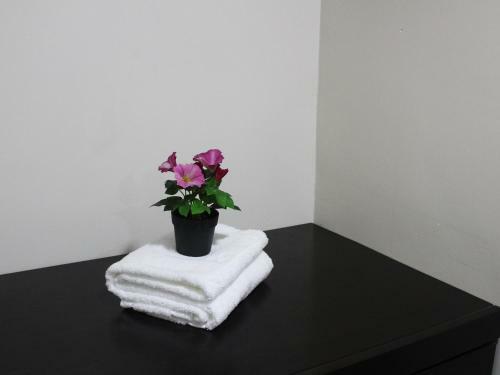 Hotel Corona Plaza