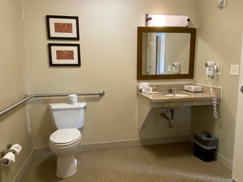 Hotel Comfort Suites Coralville