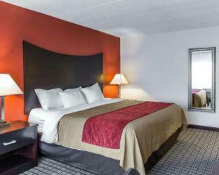 Hotel Comfort Inn Bwi Airport