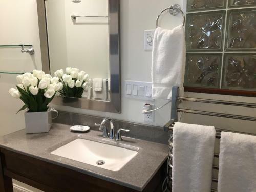 Camden Riverhouse Hotel And Inn