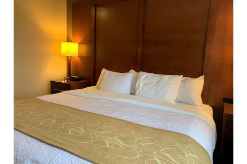 Hotel Comfort Suites Buffalo Airport