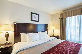 Hotel Comfort Inn & Suites Cambridge
