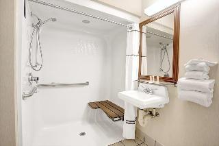 Hotel Baymont Inn And Suites Monroe