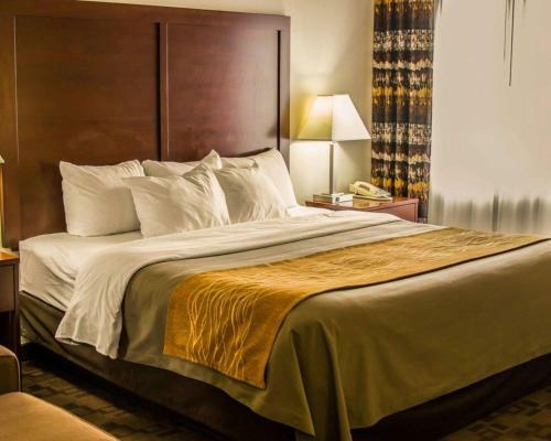 Hotel Comfort Inn Birch Run