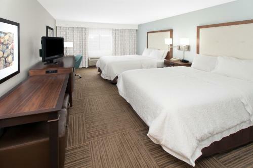 Hotel Hampton Inn Birch Run