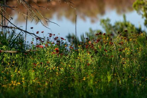 Hotel Wildcatter Ranch And Resort